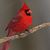 Linda Rousseau's profile image
