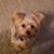 Cindy Boyd Brashear's profile image