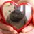 Youssef Morkos's profile image
