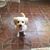 Florendo Isidro's profile image