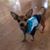 Cathy DeBalsi's profile image