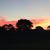 Lynda Marcum's profile image