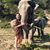 Charlotte Wilton's profile image
