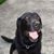 Todd Studebaker's profile image