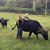 Elizabeth Hess's profile image