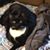 Dawn Woolley Bort's profile image