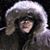 Pete Holub's profile image