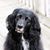Lynne Marie's profile image