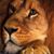 Ricky A. Rountree's profile image