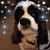 Kat Stradinger Catmull's profile image