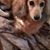 Susan Neal-Thompson's profile image