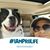 Monica Wolz Hecklinski's profile image