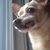 Lucielle McGillicuddy's profile image