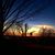 Vanessa Lorenzo Goethals's profile image