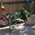 Diane Forry Cronk's profile image