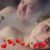 KyLee Oshinsky's profile image