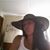 Allison Trahan's profile image