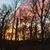 Allyn K. Brown's profile image
