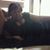 Melinda Keepitrealalways Porter's profile image