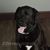 Christina Kiessel Potkay's profile image