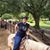 Sarah Thompson's profile image