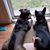 Jeannette N Jimmy Horton's profile image