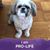 Alicia Dickerson's profile image