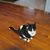 Vivian Brophy's profile image
