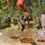 Gabby Bandales's profile image