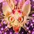 Thomas Leuschen's profile image
