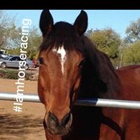 Rebecca Higgins Meisner's profile image