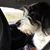 Julie Stevens's profile image