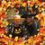 Kathryn Tulley's profile image