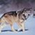 Scott Wagner's profile image