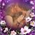 Sherrie Barr Bishop's profile image