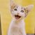 Pamela Zeid's profile image