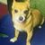 Candi M Grauvogel's profile image