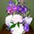 Kathy Wittmer's profile image