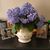 Ann Marie Takach Rutt's profile image