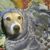 Jacquelyn Rapp-Blake's profile image