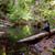 Allison Beard Vion's profile image