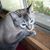 Joanne Forbes's profile image