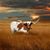 Judy Fonger-Nevenner's profile image