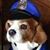 Tommy Schoenfeld's profile image