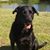 Cassandra Kersey Nowak's profile image