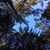 Lisa Madruga's profile image