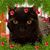 Bryon Mushrush's profile image