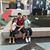 Rene Lucero's profile image