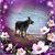 Connie Shawhan Clark's profile image