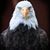 Gary Croy's profile image